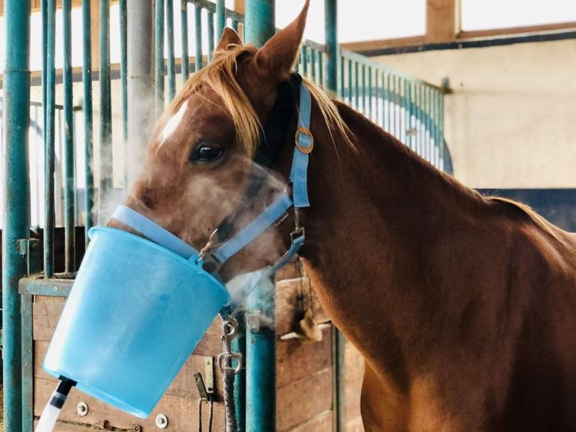 Inhalátor pro koně startovací balíček Clinic