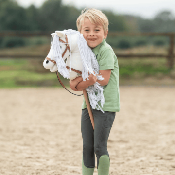 HOBBY HORSING