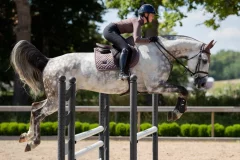 Podsedlová dečka Equestrian Stockholm Amaranth Jump