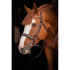 Leather bridle Daily Strass PENELOPE