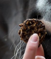Treats Stud Muffins Winter flavour (15 pieces)