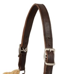 Western halter Raw  Pool's