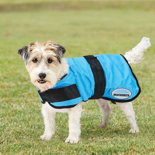 Chladící deka pro psa WEATHERBEETA THERAPY-TEC COOLING - Velikost: 80 cm
