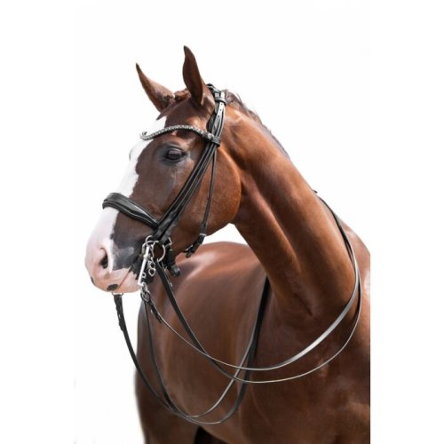 Dressage bridle HKM Kate