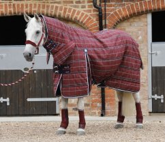 Stájová deka pro koně s krčním dílem Premier Equine Domus 200g