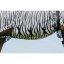 Deka proti hmyzu RIDING WORLD ZEBRA