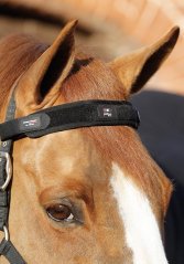 Magnetická čelenka pro koně Premier Equine Magni-Teque Magnetic
