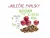 Dromy Apple Treats 1 kg