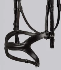 San Paolo Anatomical Bridle