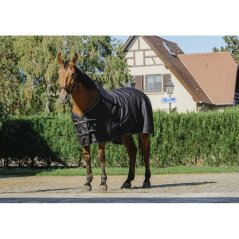 Lehká deka RIDING WORLD Shiny