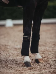 Bandages Equestrian Stockholm Black Gold