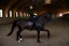 Dressage saddle pad Equestrian Stockholm Mahogany Glimmer