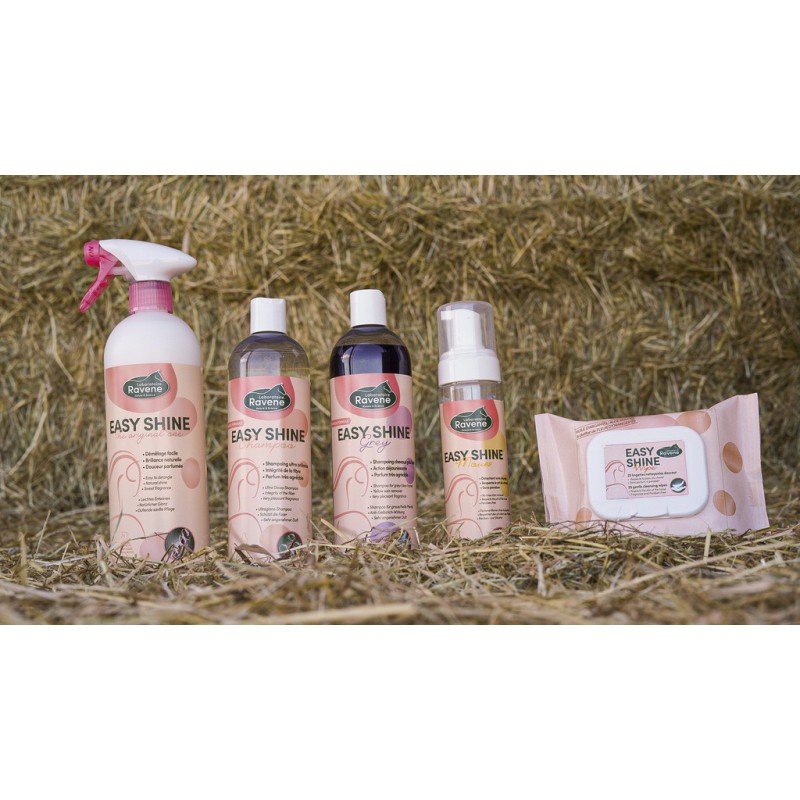 Lesk EASY SHINE RAVENE ECO 750ml