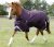 Nepromokavá výběhová deka pro koně Premier Equine Titan 200g