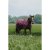 Nepromokavá deka  EQUITHÈME - TYREX 1200D High Neck 50g