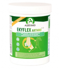 EKYFLEX ARTHRO EVO - výživa kloubů a chrupavek