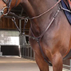 Poprsník Elite Close Contact SHIRES