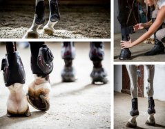 Chrániče zadní Acavallo Opera Gel Lined