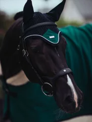 Horse Equestrian Stockholm Emerald