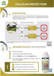 MYOSTEM PROTEC - obnova svalových buněk a odbourávání kyseliny mléčné po námaze, 900ml