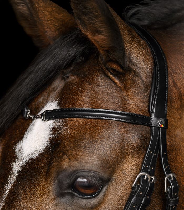 Anatomická uzdečka Waldhausen X-Line Charmbit