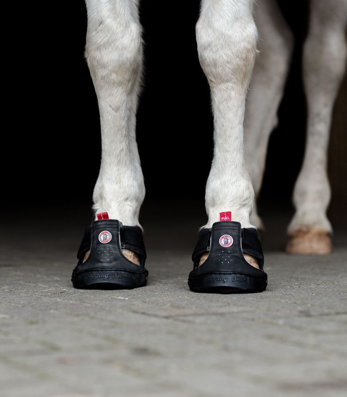 Trekingové botičky Equine Fusion® Slim