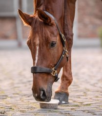 Liz pro koně Waldhausen