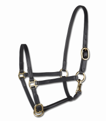 STAR foal show halter, leather