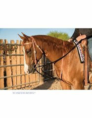 Westernový martingal Professional´s Choice Draw Rope