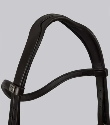 Palazzo Anatomical Bridle