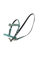 Mein Hobby Horse Zaumzeug