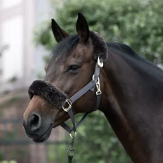 Ohlávka s beránkem Laurier B Vertigo