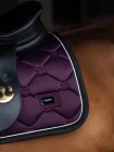 Black Raven Equestrian Stockholm