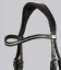 San Paolo Anatomical Bridle