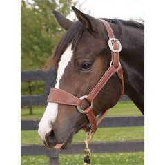 Halter ohlávka WEAVER Stacy Westfall Bronc