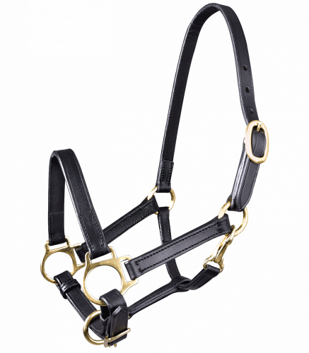 STAR leather foal halter