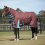 Nepromokavá deka pro koně s pevným krčním dílem WEATHERBEETA COMFITEC CLASSIC 220g
