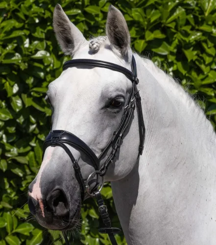 Artana Snaffle Bridle