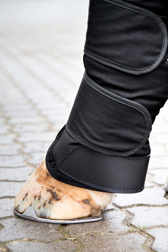 Transportní kamaše Horze