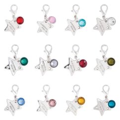 Ozdoba na uzdečku IRHBirthstone silver, 1ks