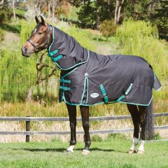 Nepromokavá deka pro koně WEATHERBEETA GREEN-TEC 900D 220g
