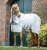 Horseware Amigo Ripstop Hoody Summer Blanket
