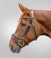 Star Rosegold Leather Bridle with English Noseband