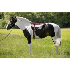 Jezdecký pad NORTON BAREBACK