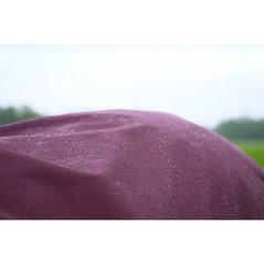EQUITHÈME - TYREX 1200D - Turnout rug High Neck 50g