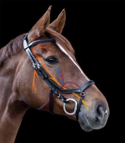 Snaffle bridle X-Line Relaxation
