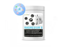 Dromy Magnesium B - 300 DENNÍCH DÁVEK