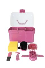 HORZE cleaning box with cleaning