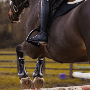 English Tack for Horses – complete selection