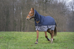 Nepromokavá výběhová deka EquiTheme Tyrex 600D s krkem 350g